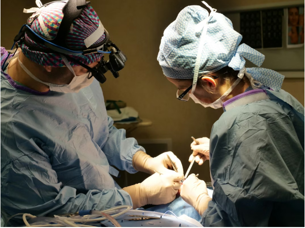 The Latest Techniques Used by Spine Surgeons for Minimally Invasive Surgery The Latest Techniques Used by Spine Surgeons for Minimally Invasive Surgery